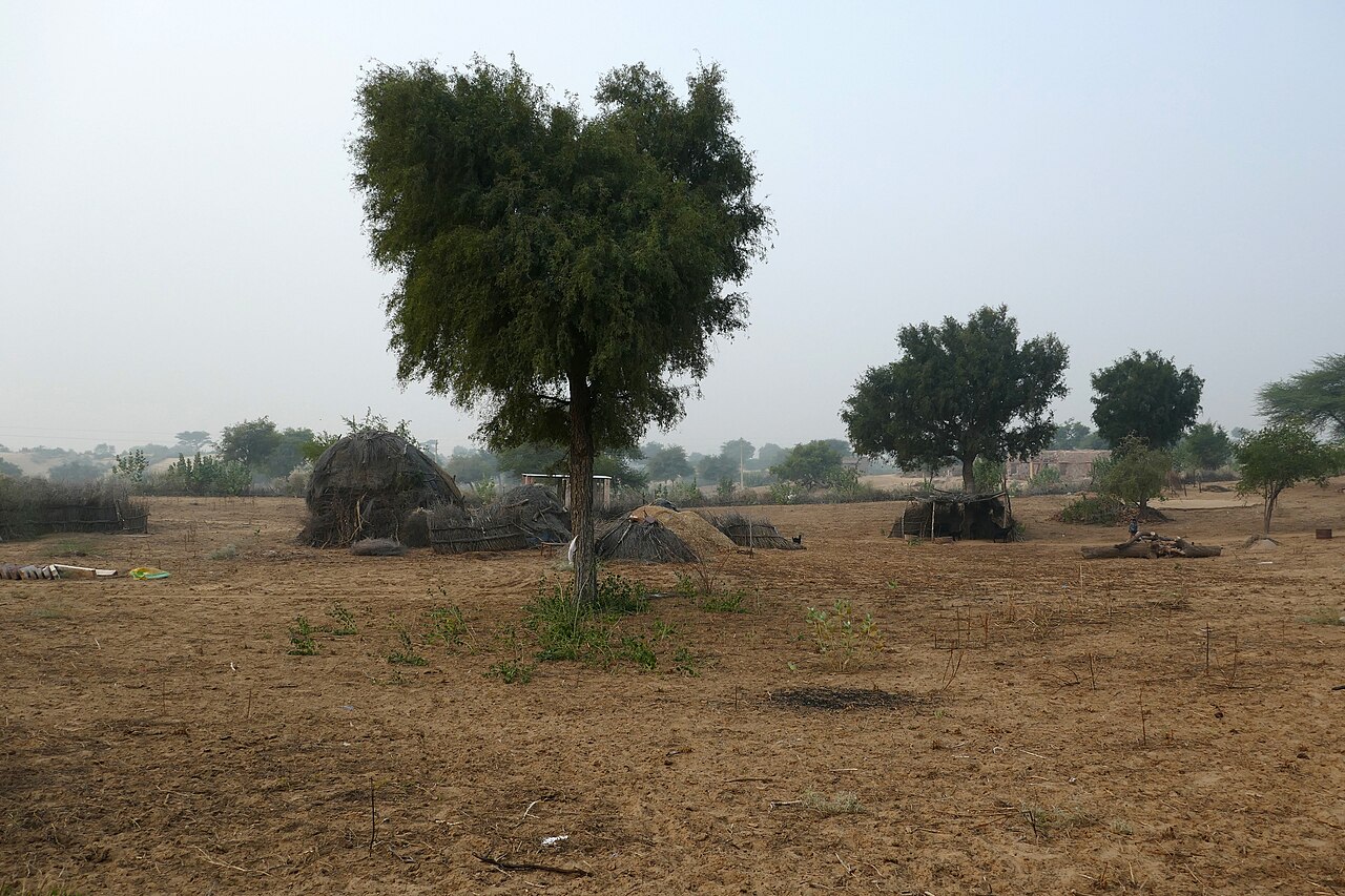 Rajasthan