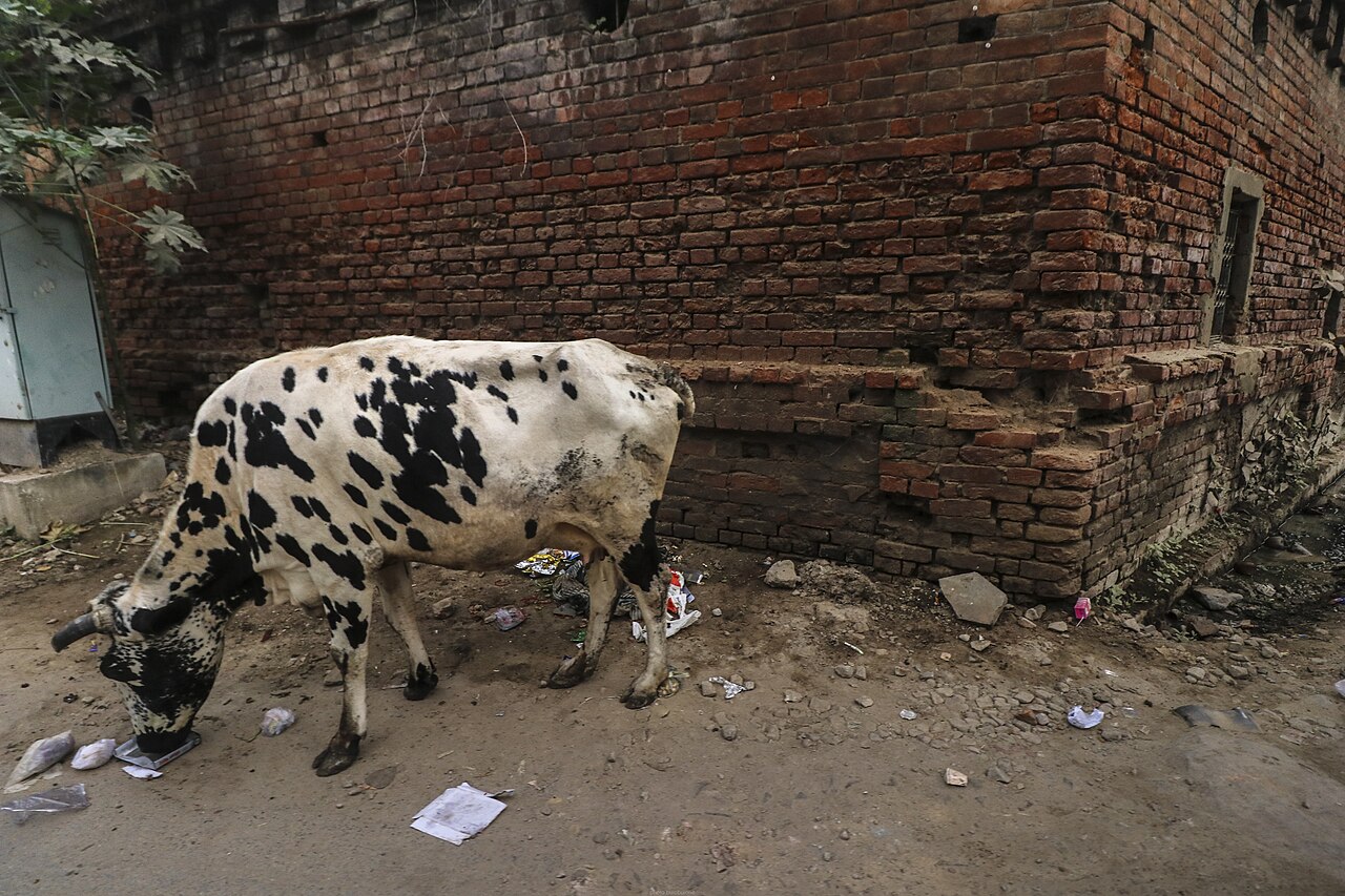 Uttar Pradesh
