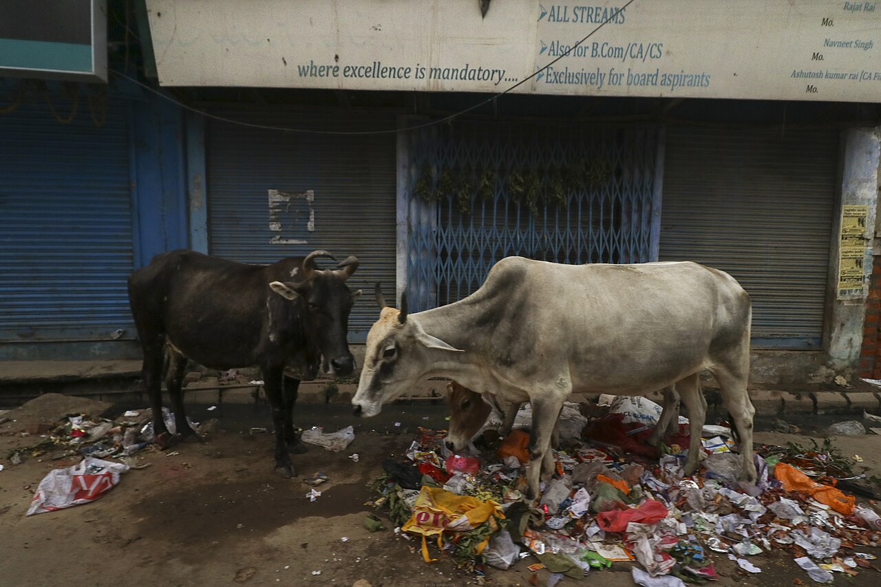 Uttar Pradesh